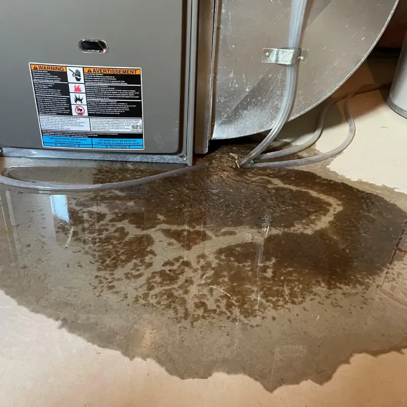 Appliance Leak Cleanup in Lyman, WY